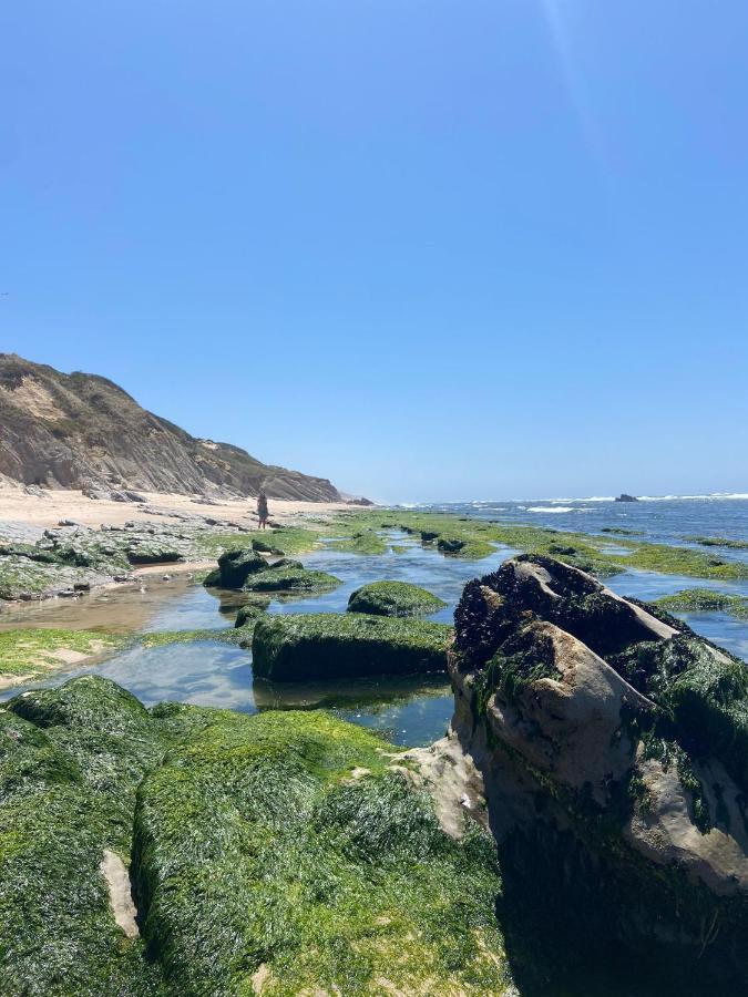 Starfish Beach House サン・ペドロ・デ・モエル エクステリア 写真